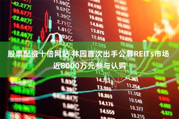 股票配资十倍网站 林园首次出手公募REITs市场 近8000万元参与认购