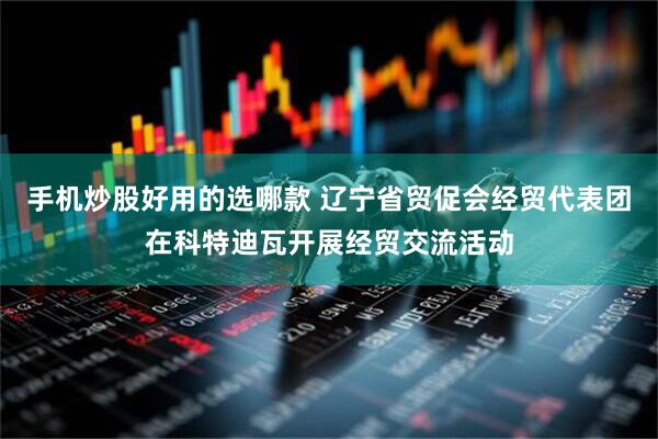 手机炒股好用的选哪款 辽宁省贸促会经贸代表团在科特迪瓦开展经贸交流活动